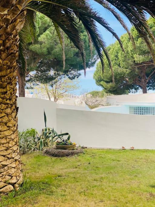 Le Studio La Grande Motte Dış mekan fotoğraf
